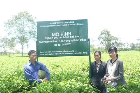  Da Nang set to build new High-tech farms 