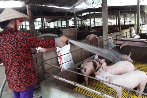 Agricultural minister calls on businesses to support pig farms