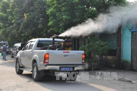 Hanoi enhances prevention of dengue fever 