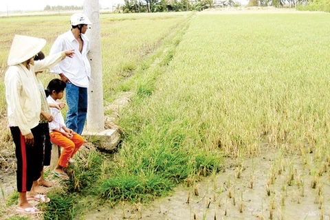 Climate change makes water scarce in dry season in HCM City