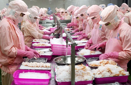 US extends antidumping duties on shrimp imports from Vietnam