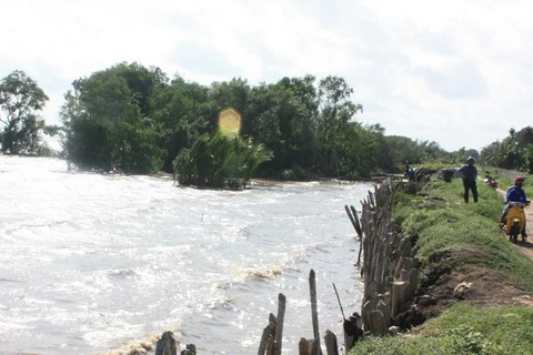 Tien Giang constructs technical works to control flood 