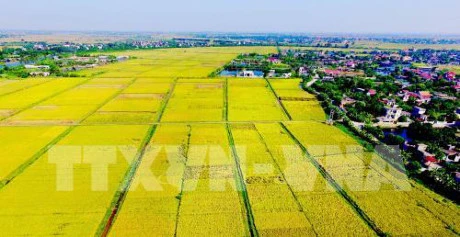 Thai Nguyen spends 840 billion VND on agricultural restructuring 