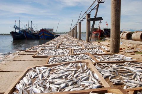 Fish from Formosa-contaminated waters being tested for safety