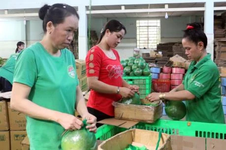 Ho Chi Minh City starts 8th green product consumption campaign