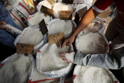 Philippines to import 250,000 tonnes of rice in June