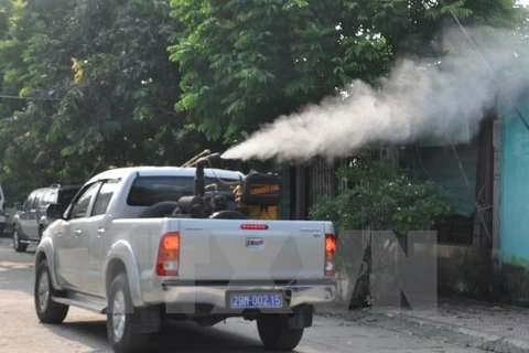 Dengue fever rises in Hanoi
