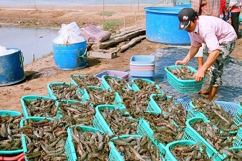 Shrimp, coffee, ginseng added to national products list