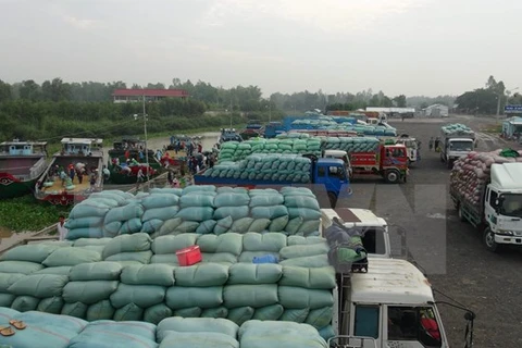 Exports through Lao Cai Int’l Border Gate surge