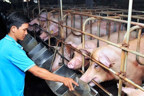 Unprofitable animal farming hurts agricultural production in Dong Nai