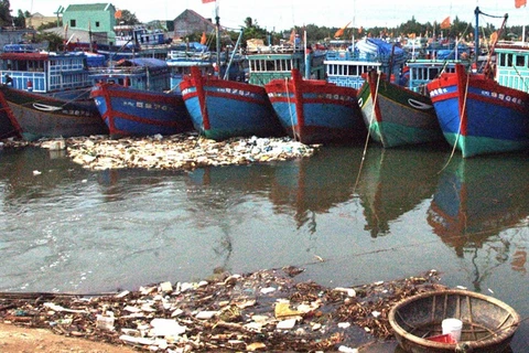  Pollution concerns in Quang Ngai province