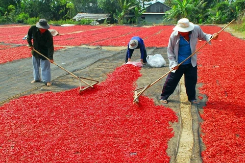 Farmers blamed as they suffer falling prices