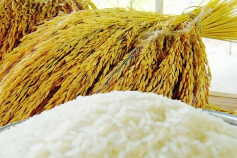 Global demand for Thai rice remains high