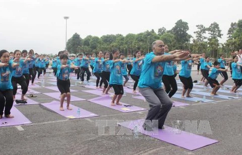 Mass yoga demonstration attracts crowds in Vinh Phuc
