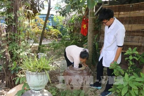 Dengue fever risks increase in Mekong Delta