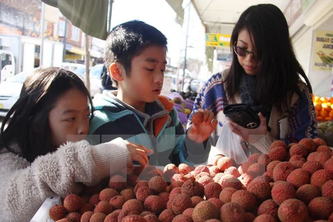 Vietnam earns 1.7 billion USD from vegetable, fruit exports