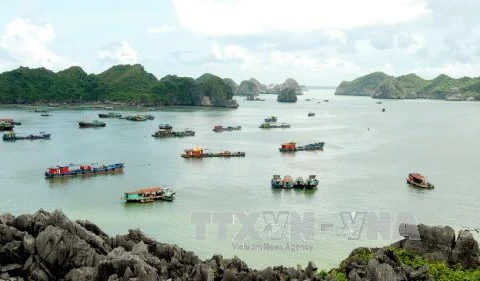 Hai Phong city welcomes 3 million tourists first half of 2017