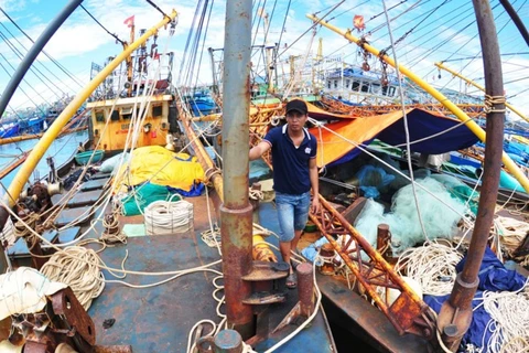 Prime Minister gets report on faulty fishing boats