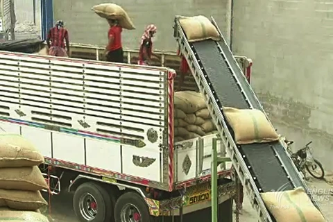 Thailand: new foreign workers law hinders rice exports