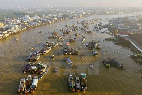 Festival promotes culture of Cai Rang Floating Market
