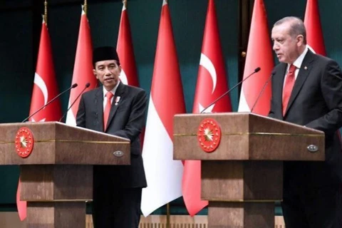 Indonesia, Turkey begin CEPA negotiations 