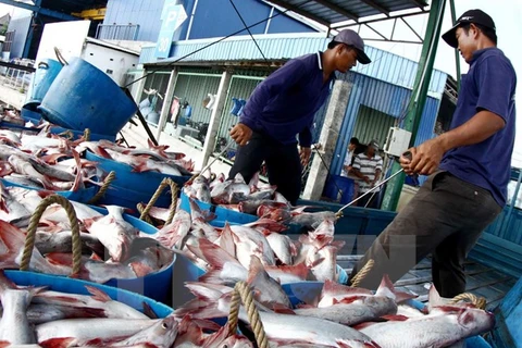 Fishery output hits 1.6 million tones in H1