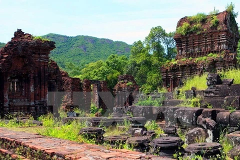 Vietnam strives to preserve My Son heritage site