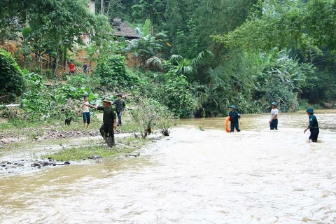 PM orders measures to cope with floods in northern provinces