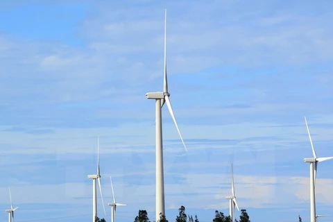  Experts: Vietnam has large wind power potential