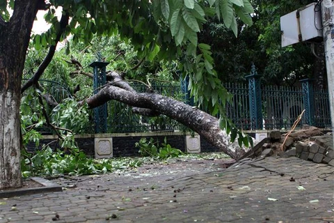 Storm Talas weakens after sweeping through Central Vietnam