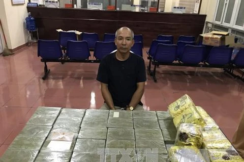 Hai Phong seizes biggest-ever drug volume 