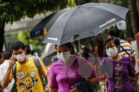 Bird flu, swine flu break out in Myanmar