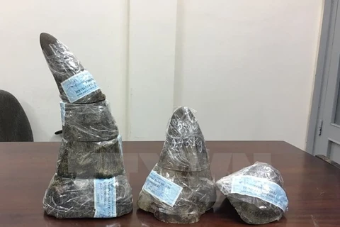 Tay Ninh: Three people detained for smuggling rhino horn