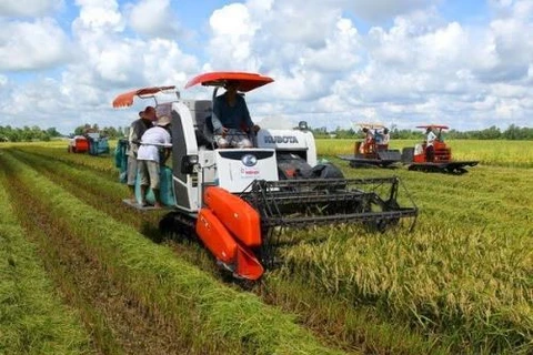 Mekong Delta firms advised to foster connectivity 