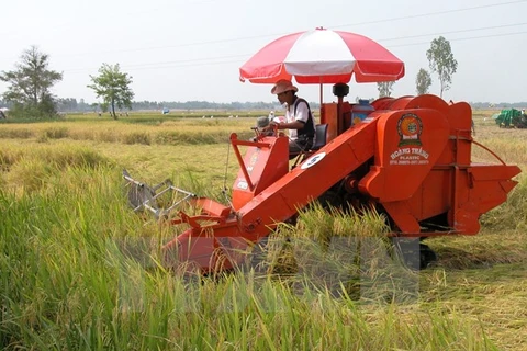 Ninh Thuan invests 1.2 billion VND to agricultural industrialisation