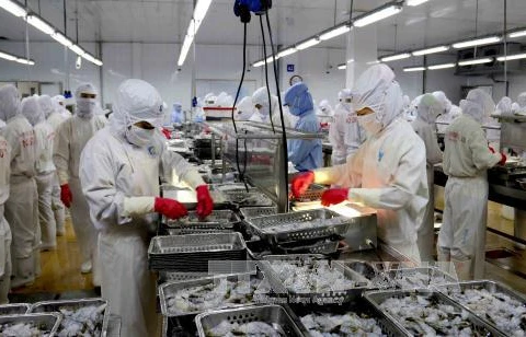 Seafood exports estimated at 8 bln USD in 2017
