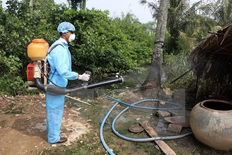Health Ministry’s team inspects dengue fever prevention in Da Nang