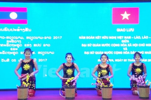 Art performance marks Vietnam-Laos diplomatic ties