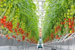 HCM City, Japan’s Hokkaido step up agricultural, aquatic cooperation 