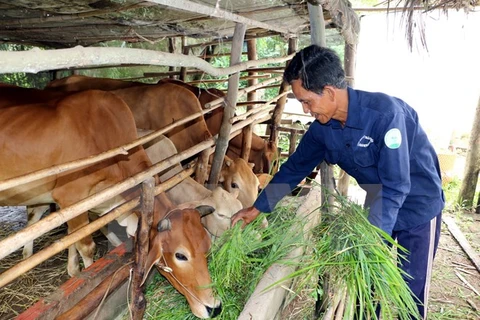 Ben Tre strives for sustainable poverty alleviation