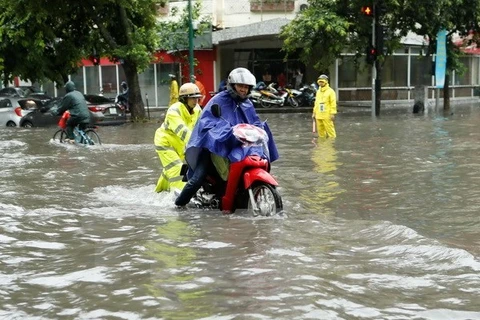 Japan helps Hanoi improve flood prevention capacity 