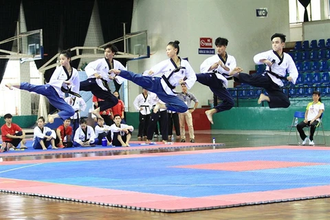 Taekwondo artists target four golds in SEA Games