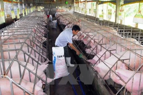 Vietnam tops ASEAN in animal feed production