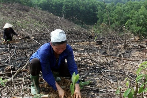 Workshop discusses improving Mekong forest management