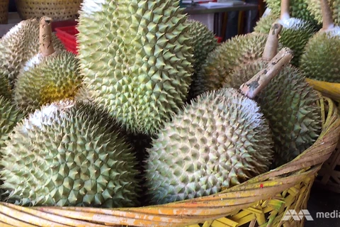 Malaysia to hold durian festival in China