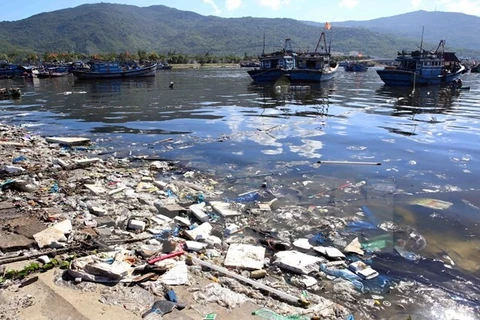 Coastal Da Nang city faces severe pollution problems