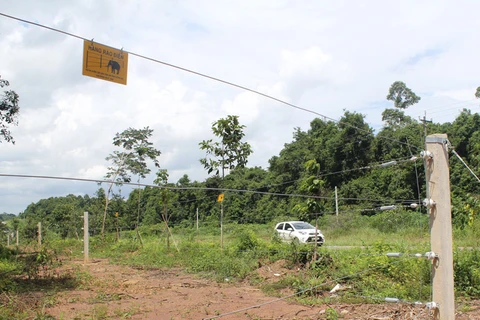 Dong Nai tests electric fence to protect elephants 