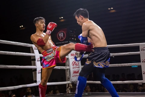 Muay Thai fight night on Aug 18
