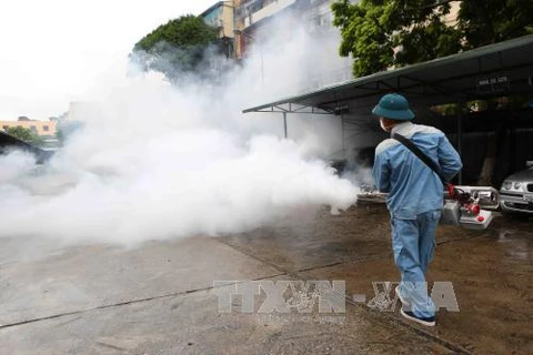 Health ministry steps up efforts to prevent dengue fever outbreak