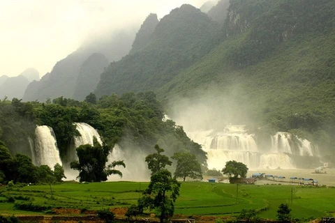 Plans to develop Ban Gioc waterfall tourism announced